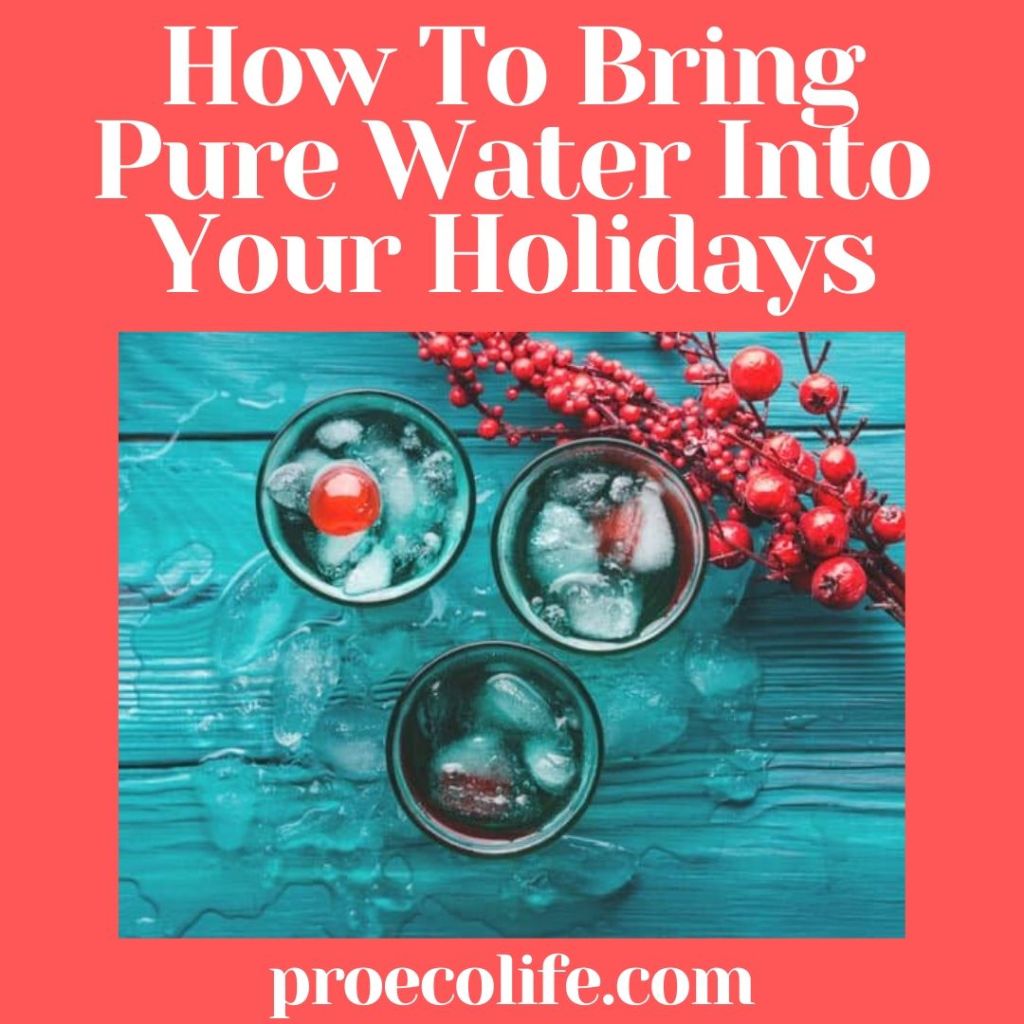How To Bring Pure Water Into Your Holidays