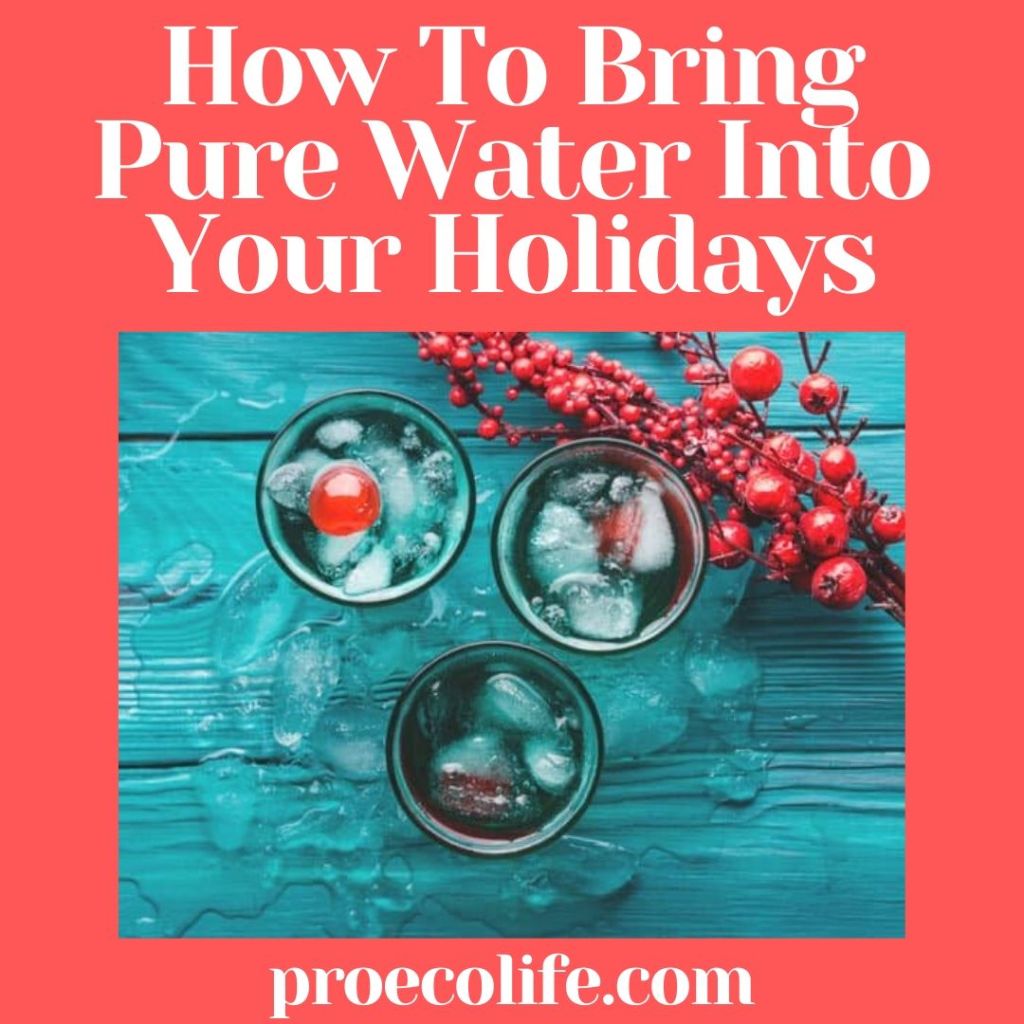 https://proecolife.com/wp-content/uploads/2019/12/How-To-Bring-Pure-Water-Into-Your-Holidays-e1576182521299.jpg