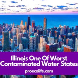 Illinois One Of Worst Contaminated Water States