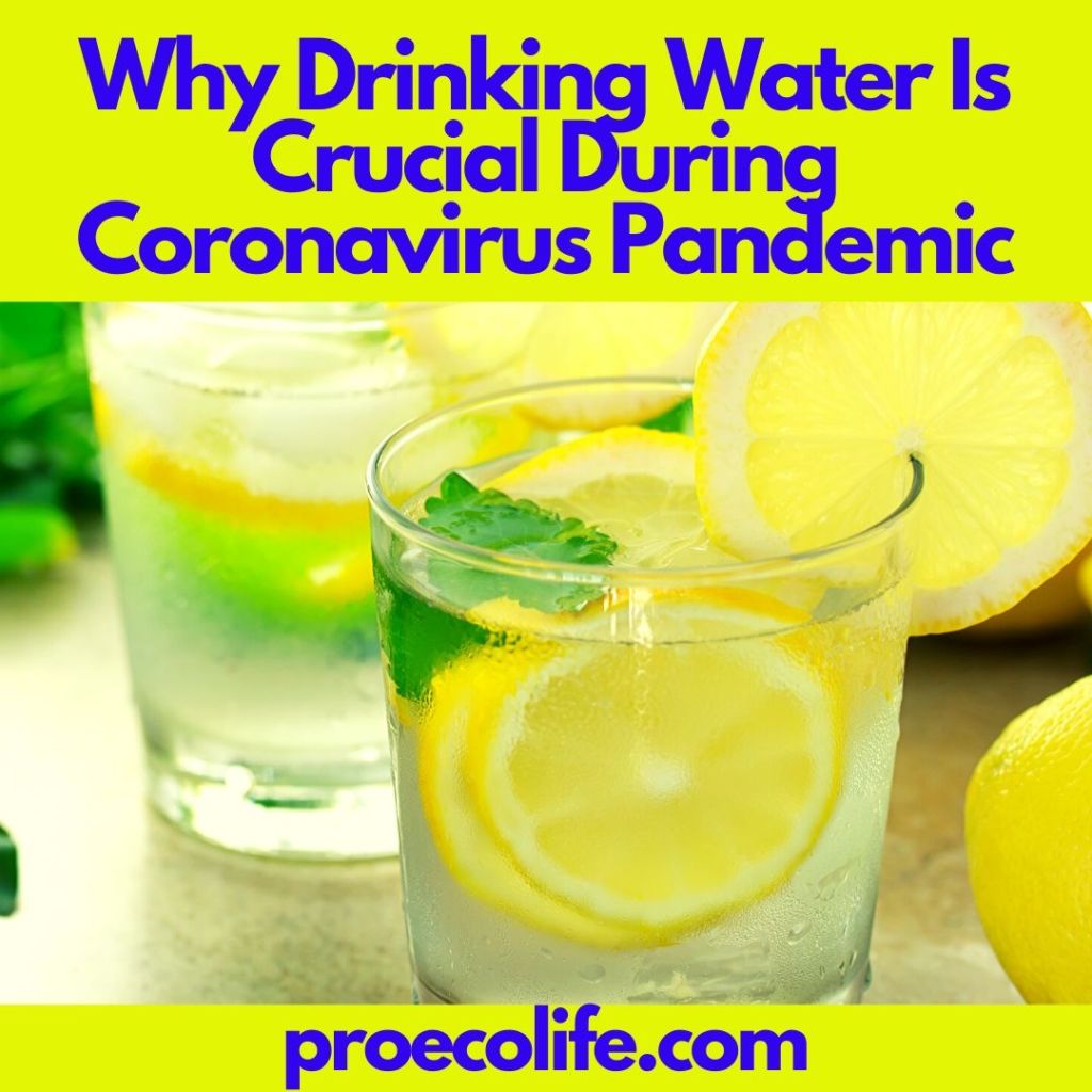 Why Drinking Water Is Crucial During Coronavirus Pandemic