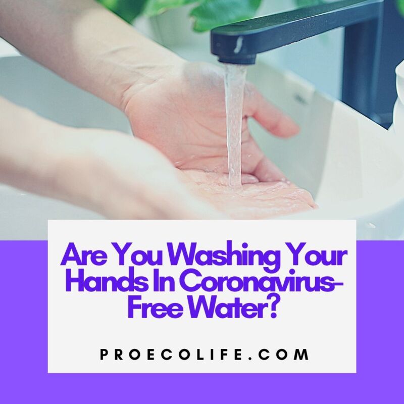 Are You Washing Your Hands In Coronavirus-Free Water?