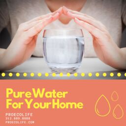 Pure Water For Your Home