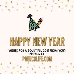 Happy New Year - proecolife.com