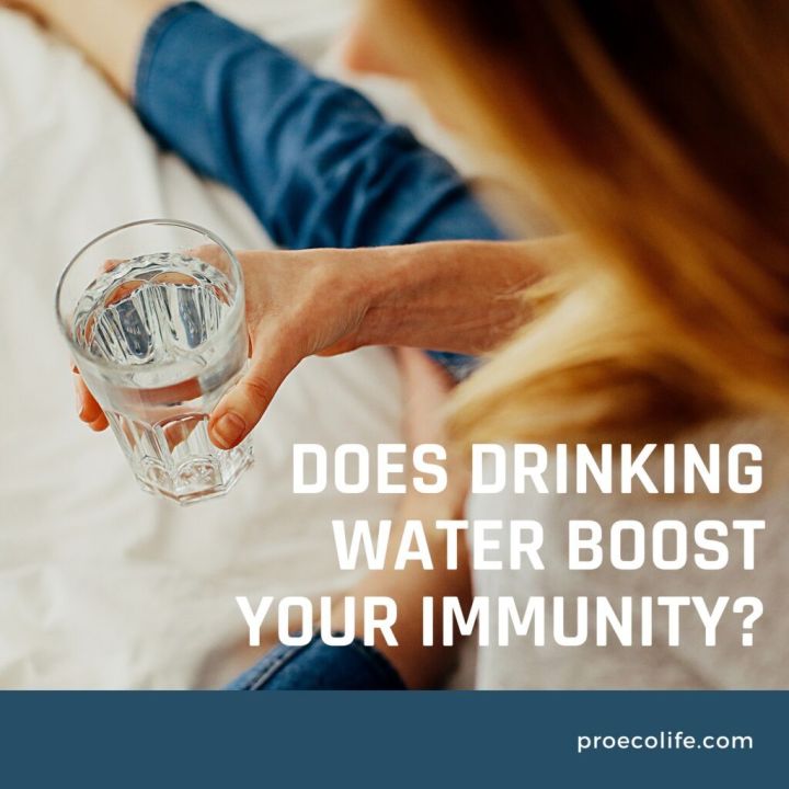Does drinking water boost your immunity ProEcoLife