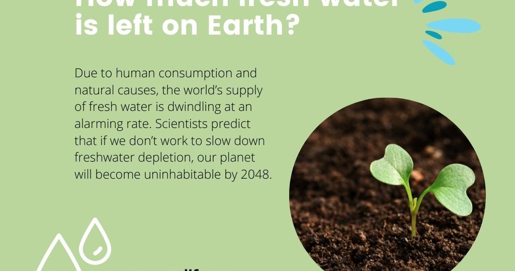 How much fresh water is left on Earth