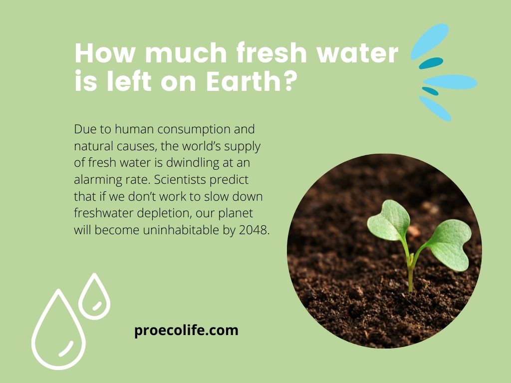 How much fresh water is left on Earth? ProEcoLife