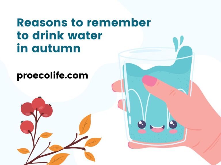 reasons-to-drink-more-water-in-autumn-proecolife