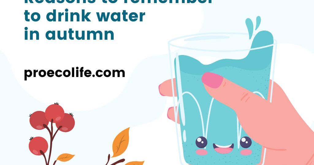 Reasons to drink more water in autumn