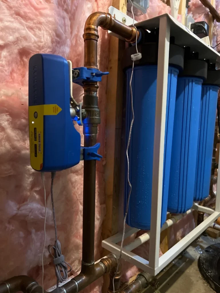 remove lead water
